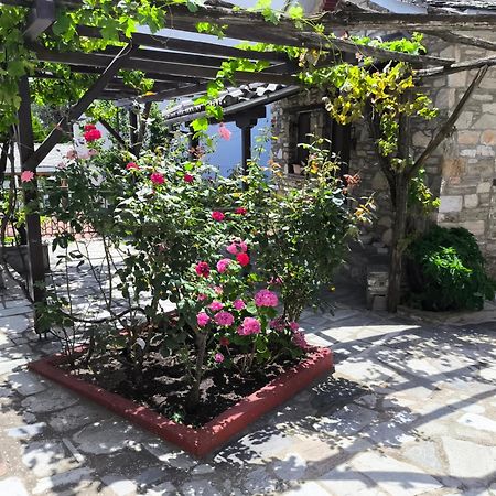 פורטאריה Venus Guesthouse מראה חיצוני תמונה