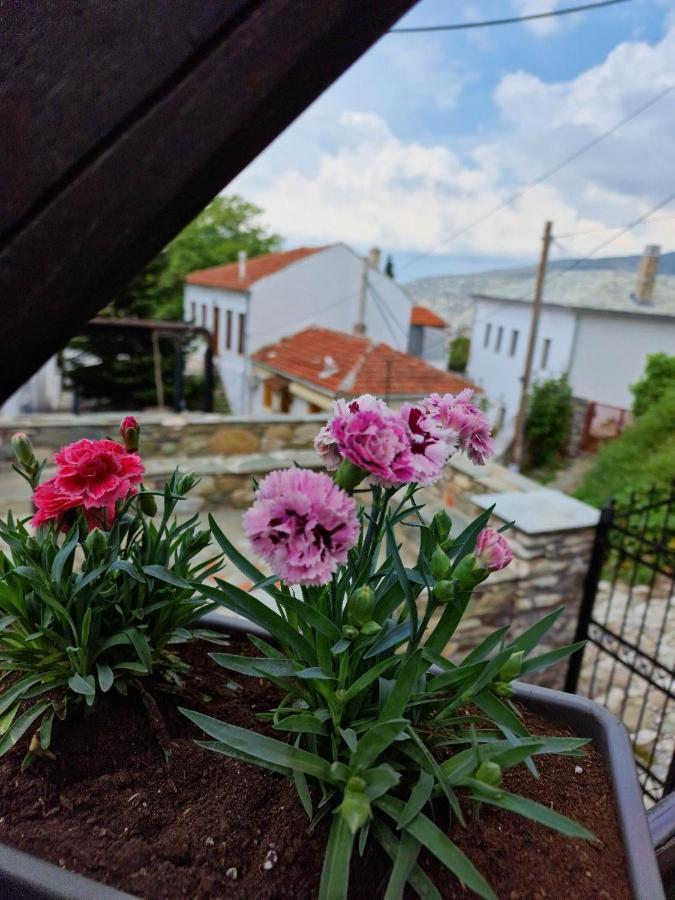פורטאריה Venus Guesthouse מראה חיצוני תמונה