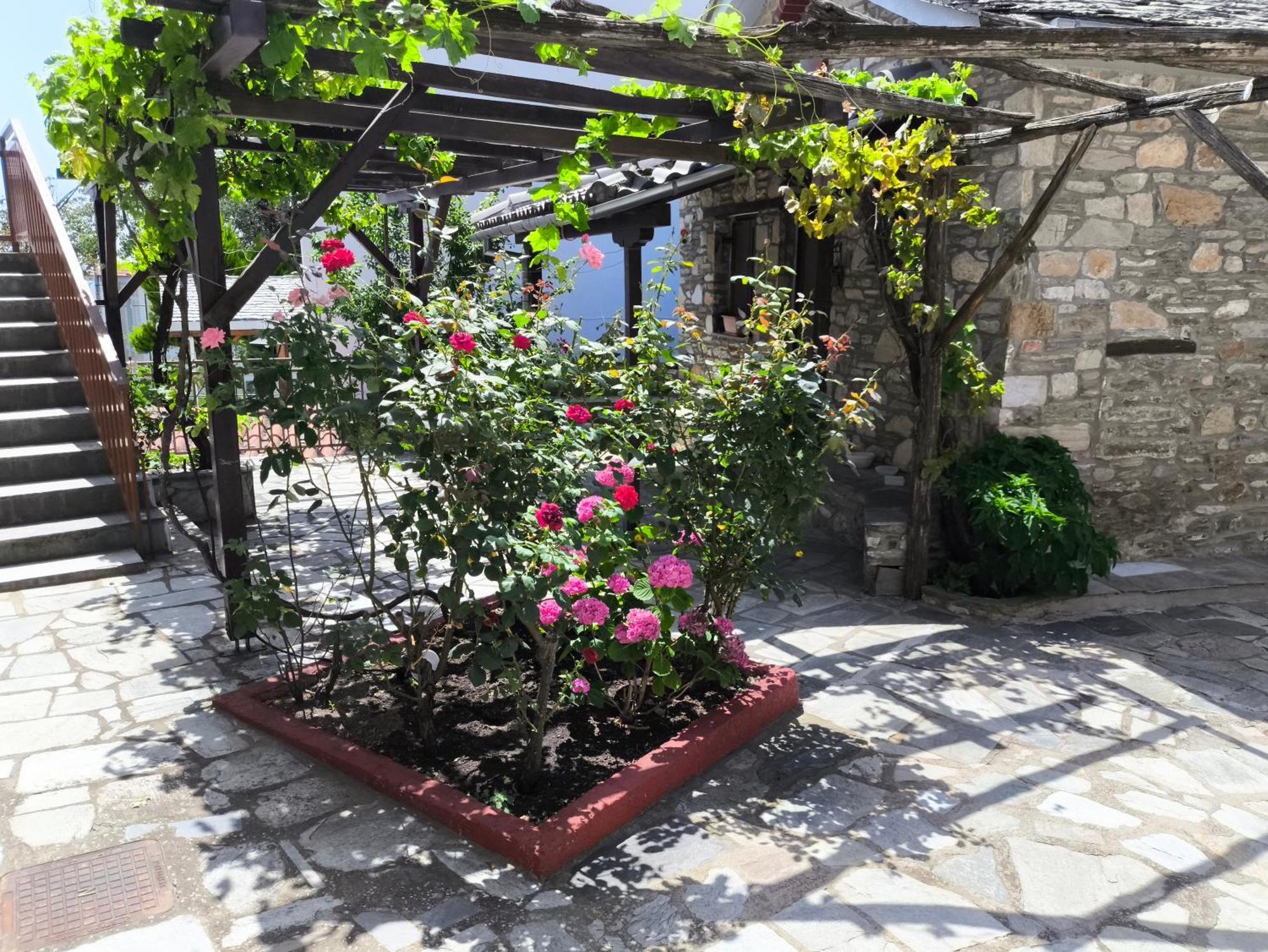 פורטאריה Venus Guesthouse מראה חיצוני תמונה